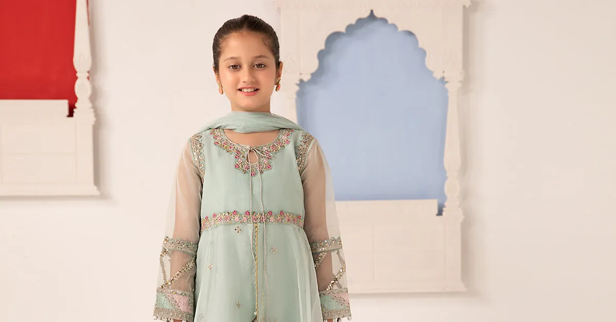 3 Piece Embroidered Organza Suit | MKS-EA24-18