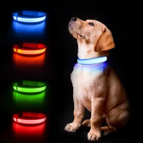 Anniepaw LED Luminous Waterproof Safety Night light Glow Necklace Dog Collar