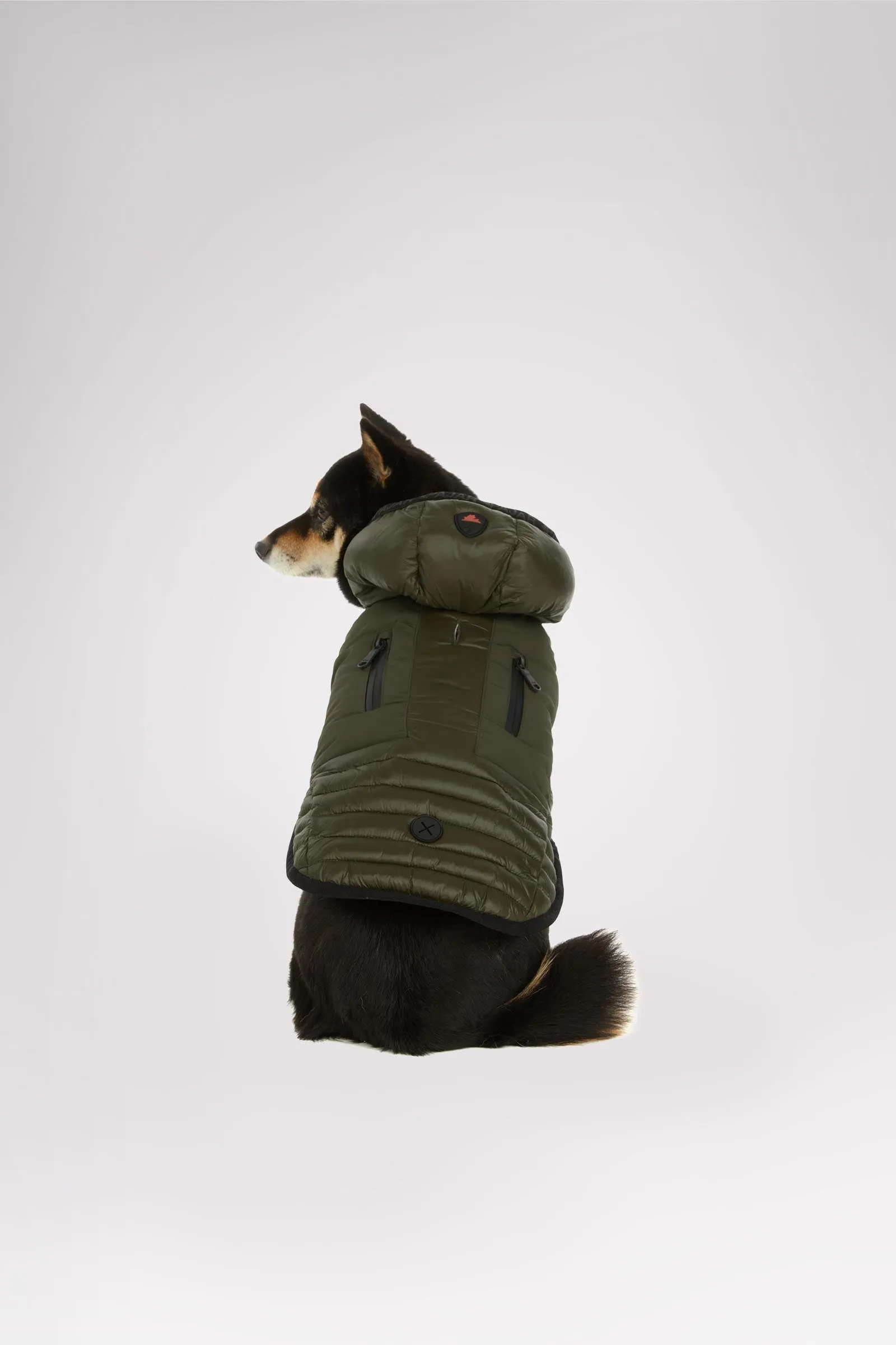 Eddie Jacket for Dogs