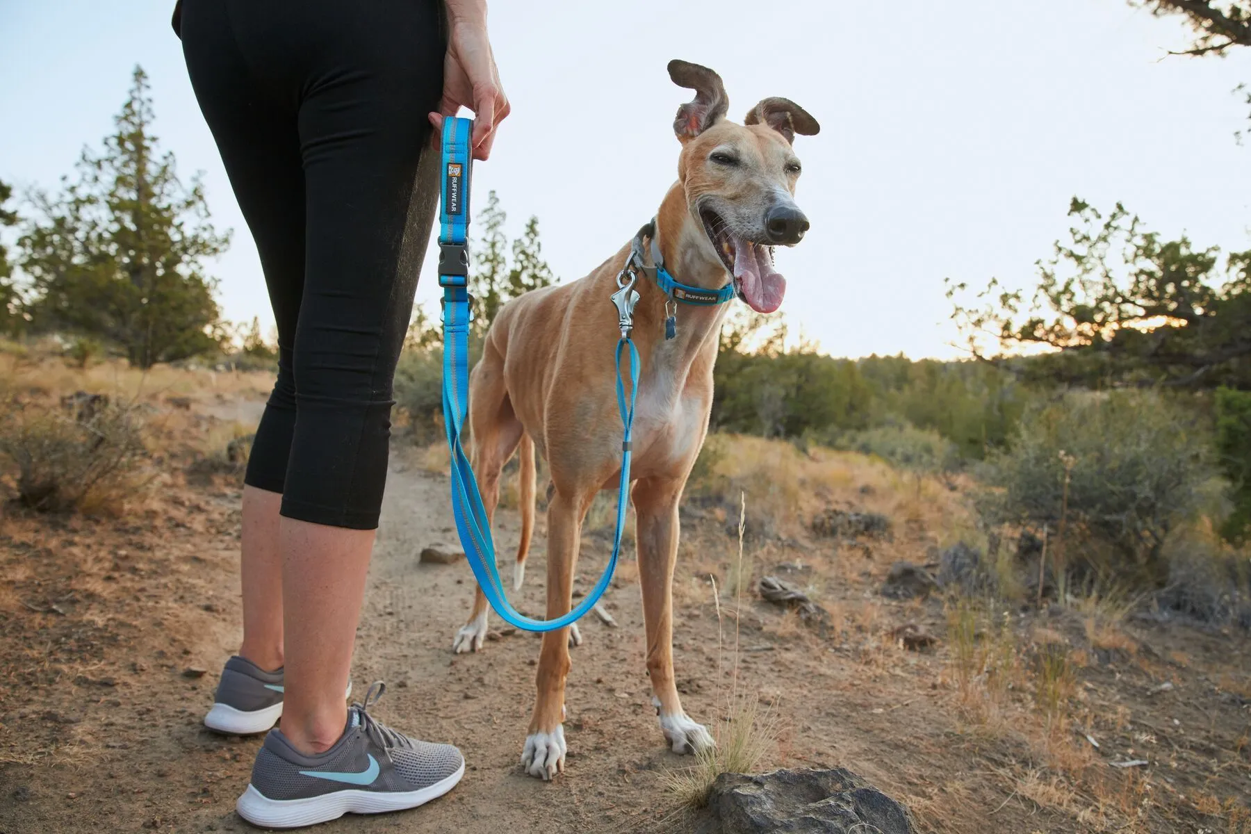 Ruffwear Web Reaction™ Reflective Buckled Martingale Dog Collar (Granite Gray)