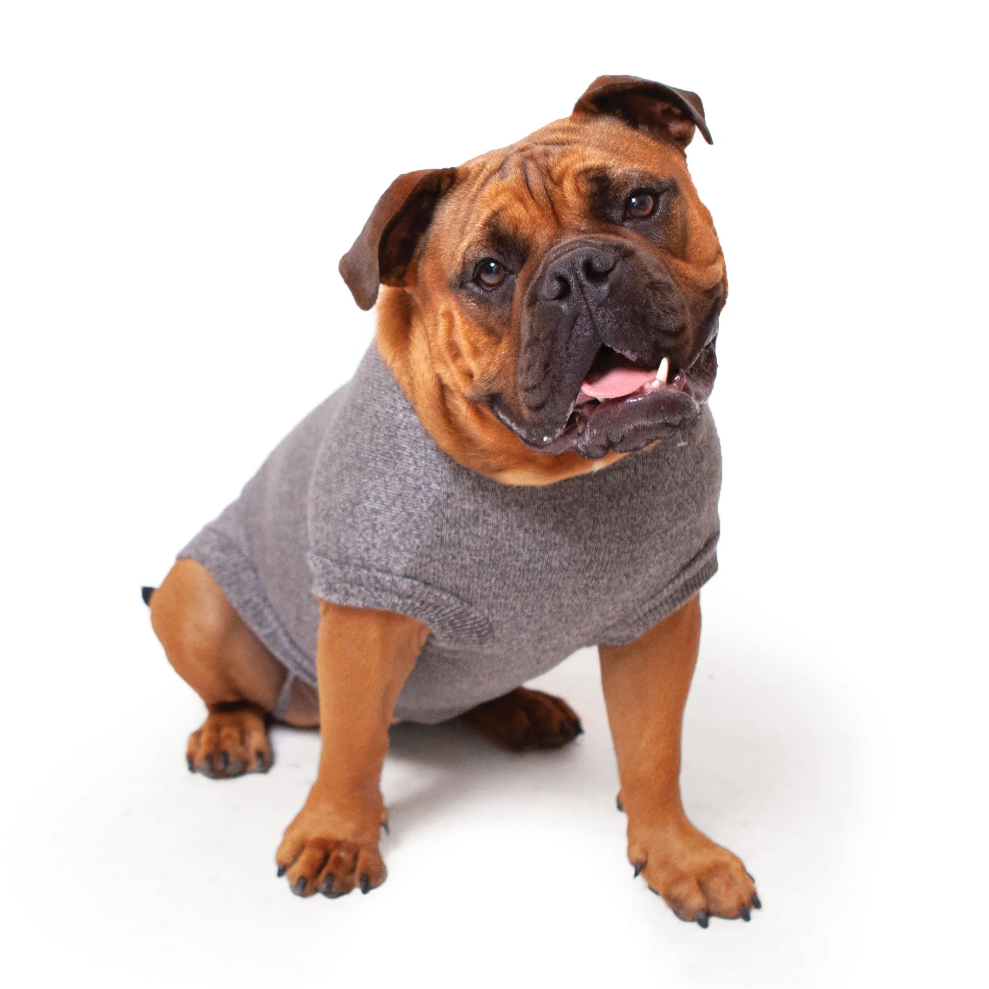 Soft Knit Dog Jumper - Mist