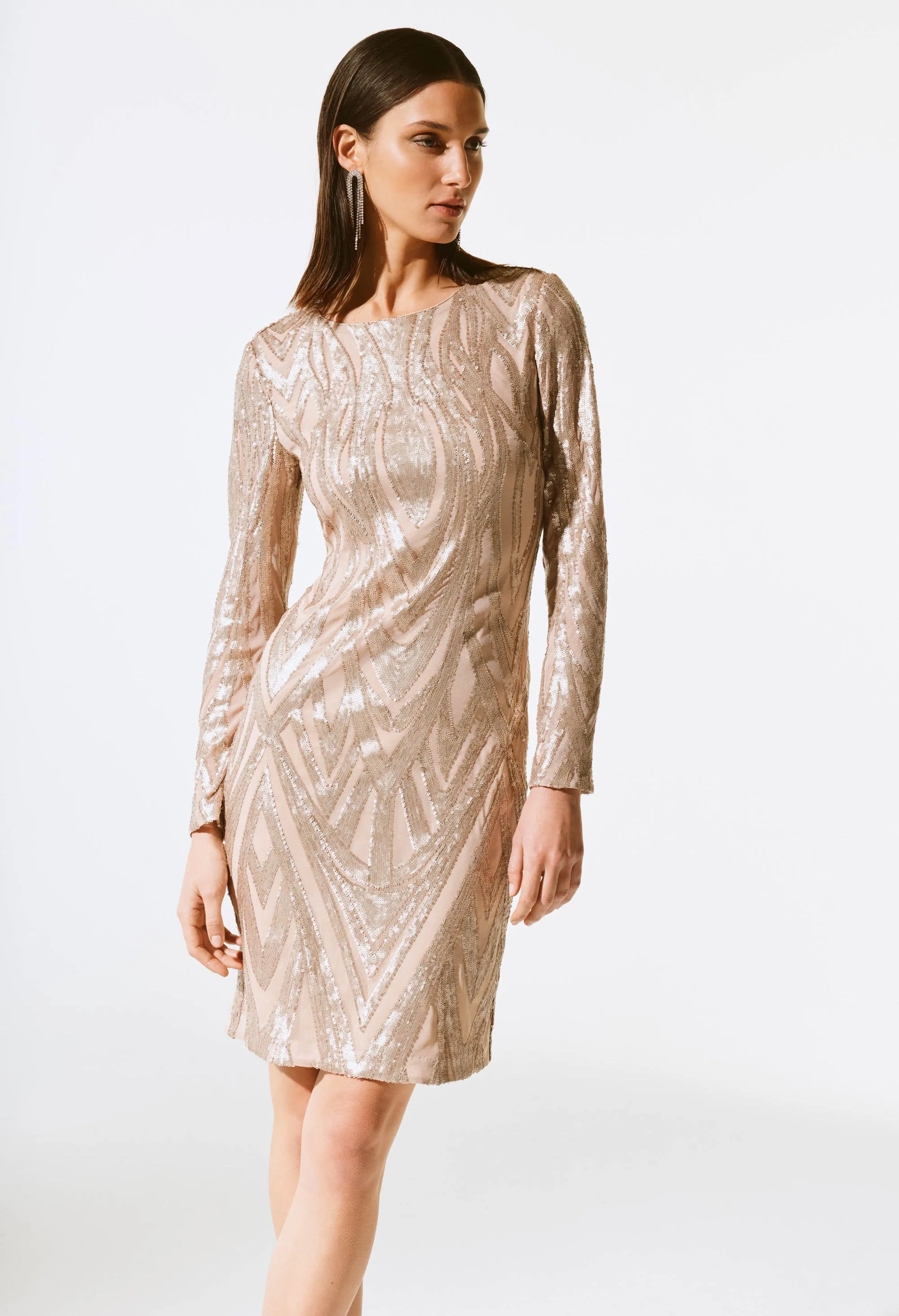 Sophisticated Sequined Party Dress